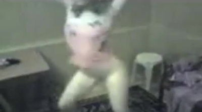 Красивая аварка танцует стриптиз до голых сисек с волосатой вагиной